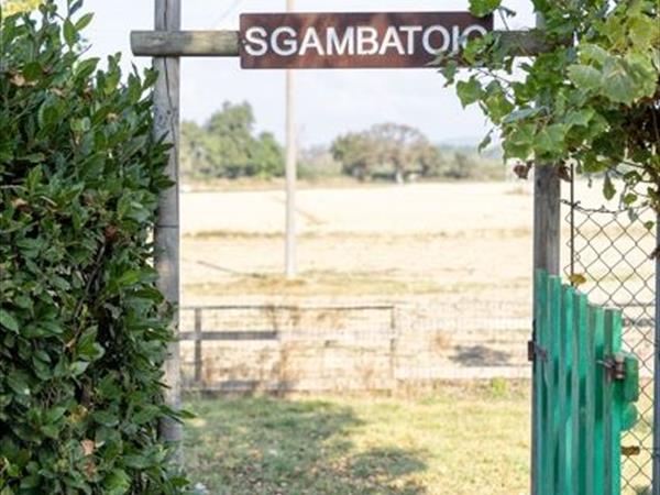 Casale del Conero - foto 56486.jpg