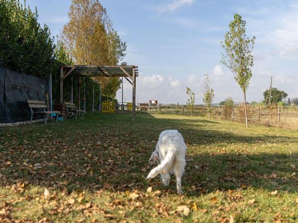 Casale del Conero - foto 56488.jpg