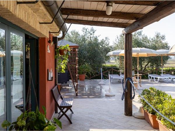 Casale del Conero - foto 56501.jpg