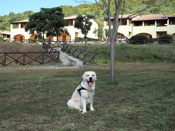 Le Corti di Montepitti - foto 56525.jpg