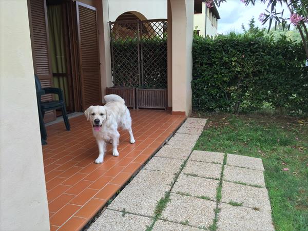 Le Corti di Montepitti - foto 56526.jpg