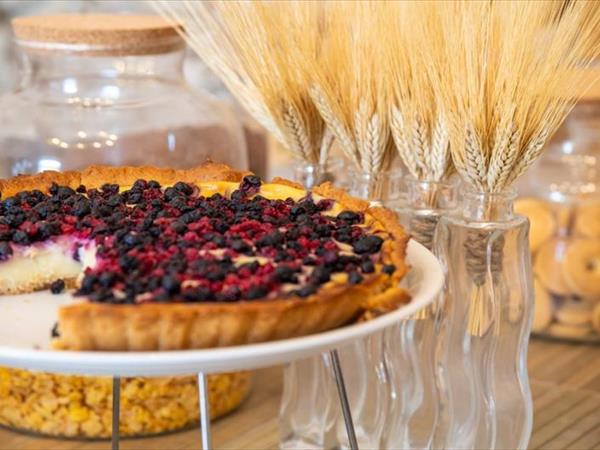 Villaggio Turistico Scialmarino - foto 56589.jpg