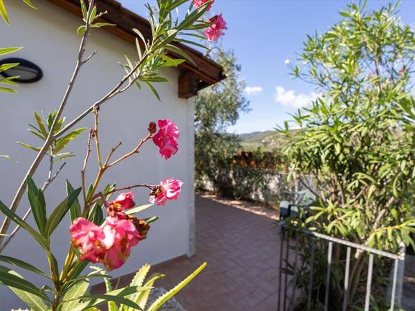 Residence Regine Club - foto 56618.jpg