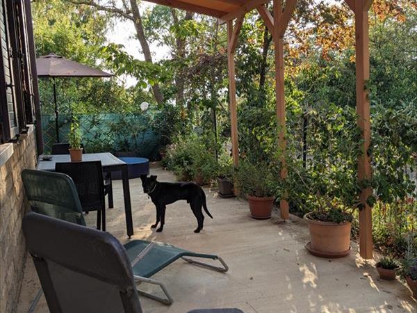 Appartamento nel verde pet friendly - foto 56639.jpg