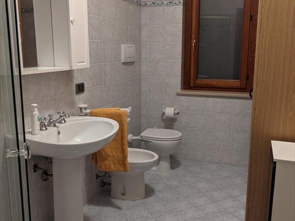 Appartamento nel verde pet friendly - foto 56640.jpg