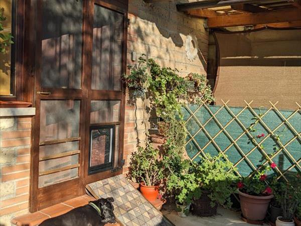 Appartamento nel verde pet friendly - foto 56641.jpg