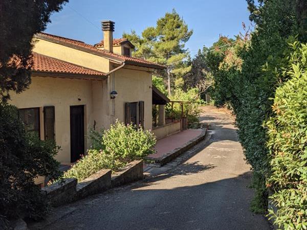 Appartamento nel verde pet friendly - foto 56649.jpg