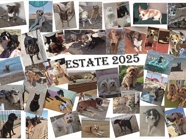 Villa Oleandro - foto 56664.jpg