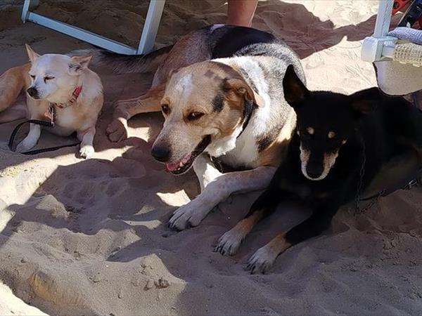 Villa Oleandro - foto 56666.jpg