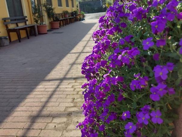 Agriturismo Ai Guiet - foto 56670.jpg