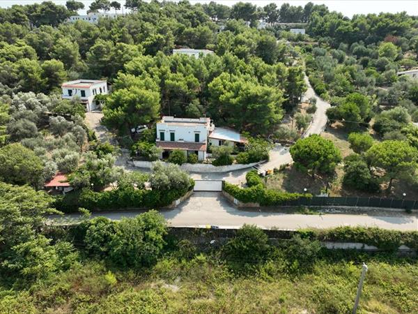 Residence gli Stingi - foto 56690.jpg