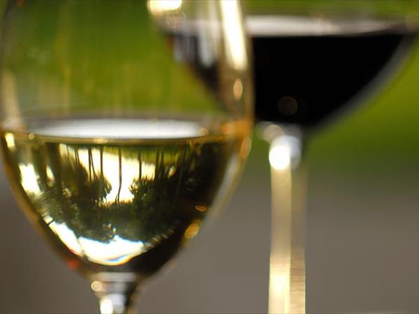 Antica Fattoria La Parrina - foto 56707.jpg