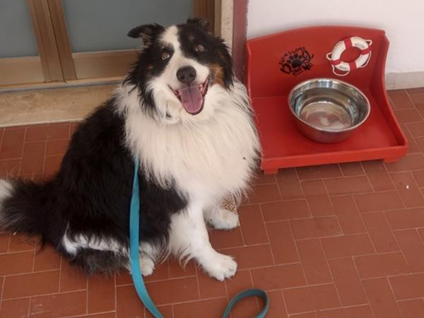 Villa Oleandro - foto 56716.jpg