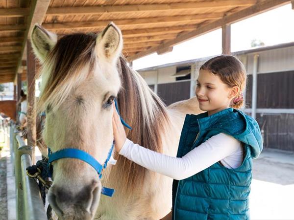  Tenuta Castellare di Tonda - foto 56761.jpg