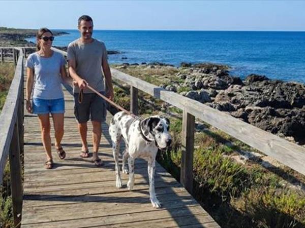 Holiday2Pet - foto 56766.jpg