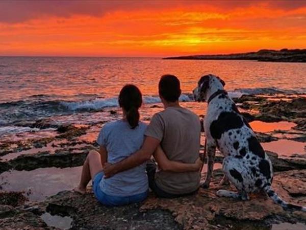 Holiday2Pet - foto 56767.jpg