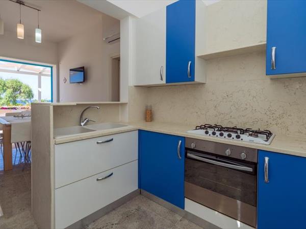 Holiday2Pet - foto 56777.jpg