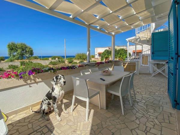 Holiday2Pet - foto 56780.jpg