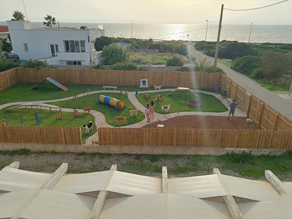 Holiday2Pet - foto 56782.jpg