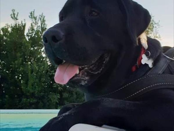  Tenuta Castellare di Tonda - foto 56784.jpg