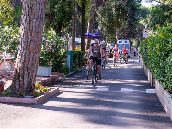 Camping mare e pineta  - foto 56816.jpg