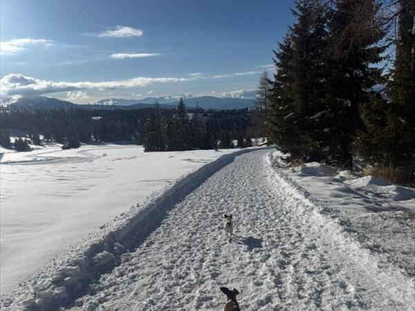 Romantik Hotel Post Cavallino Bianco - foto 56818.jpg