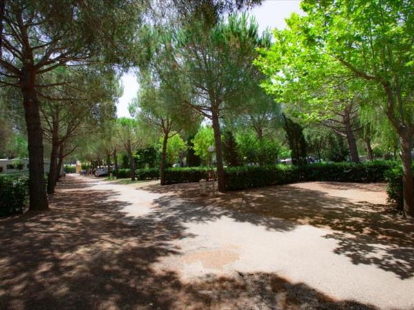 Club del Sole Le Gorette Cecina Easy Camping Village - foto 56820.jpg