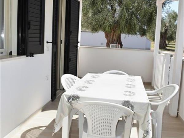 Residence Villa Medina - foto 56899.jpg