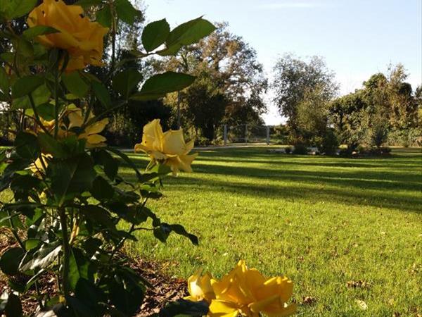 Casale delle rose  - foto 56922.jpg