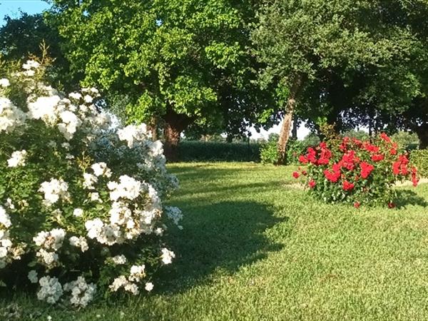 Casale delle rose  - foto 56927.jpg