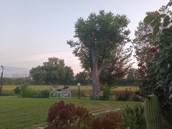 Casale delle rose  - foto 56930.jpg