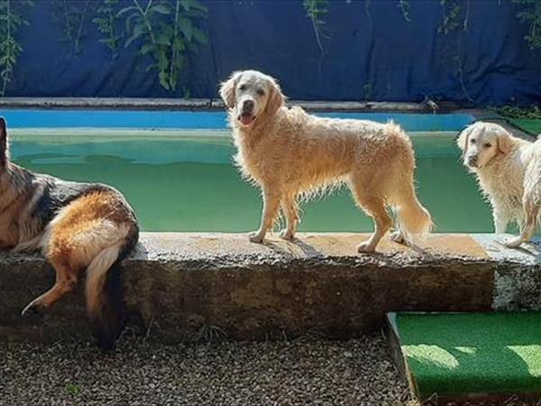 Agriturismo Fattoria Gravanella - foto 56933.jpg