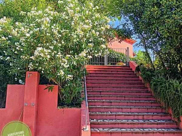 Agriturismo Fattoria Gravanella - foto 56940.jpg