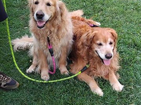 Agriturismo Fattoria Gravanella - foto 56948.jpg