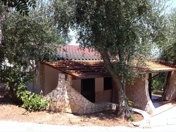 Residence gli Stingi - foto 56950.jpg