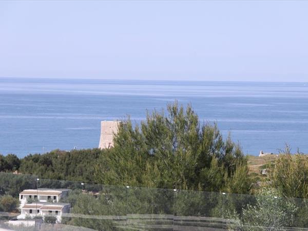 Residence gli Stingi - foto 56953.jpg