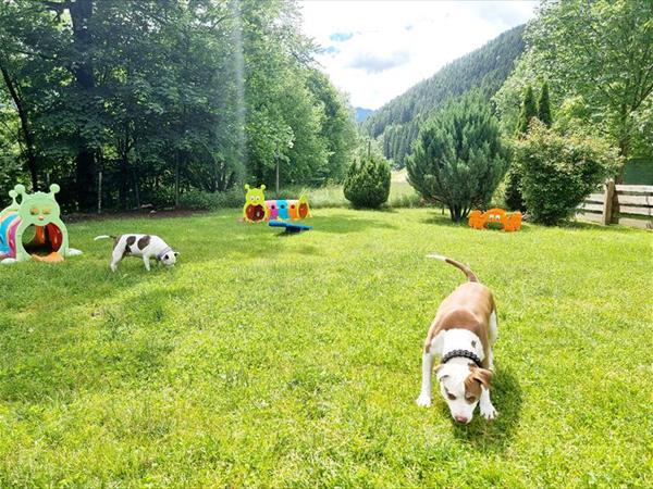 Camping Parco Adamello - foto 56976.jpg