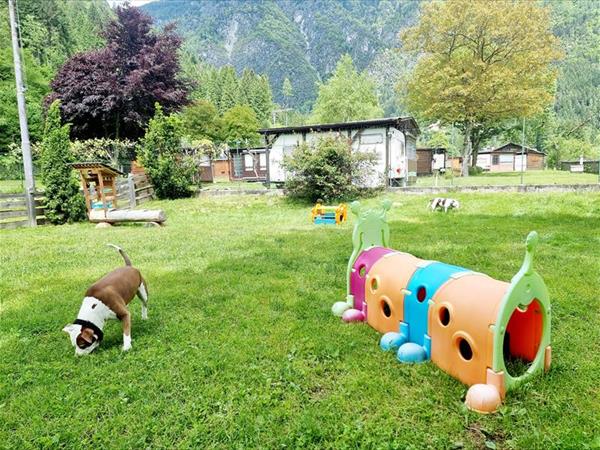 Camping Parco Adamello - foto 56990.jpg