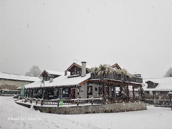 Appartamenti Parco Adamello - foto 56995.jpg