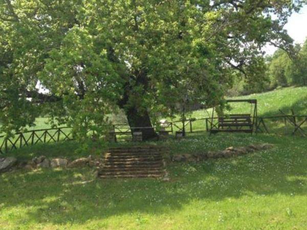 Spartan Maremma - foto 57045.jpg