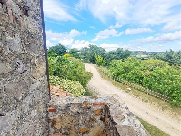 Spartan Maremma - foto 57049.jpg