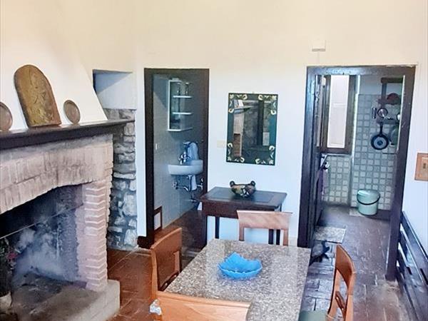 Spartan Maremma - foto 57052.jpg