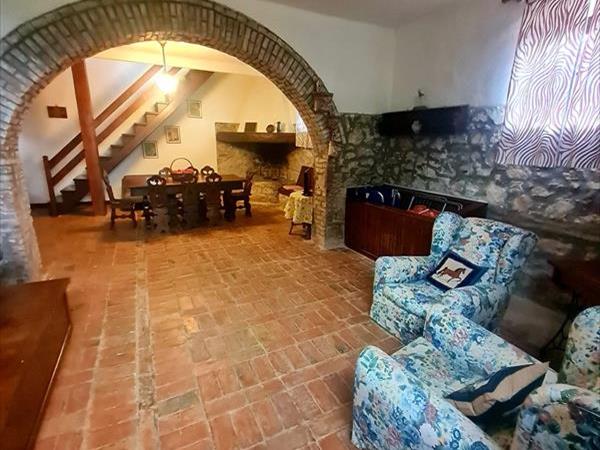 Spartan Maremma - foto 57053.jpg