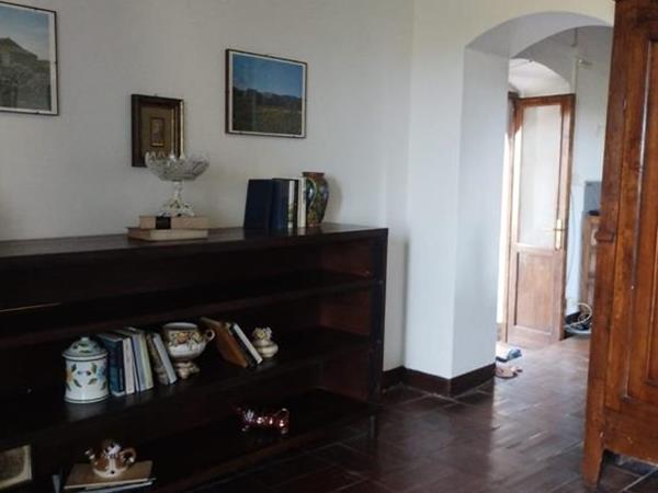 Spartan Maremma - foto 57059.jpg