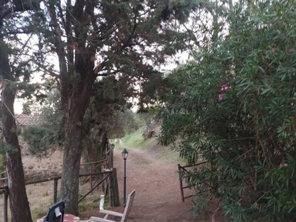 Spartan Maremma - foto 57060.jpg