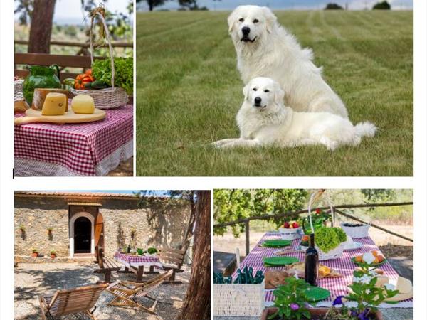 Spartan Maremma - foto 57061.jpg