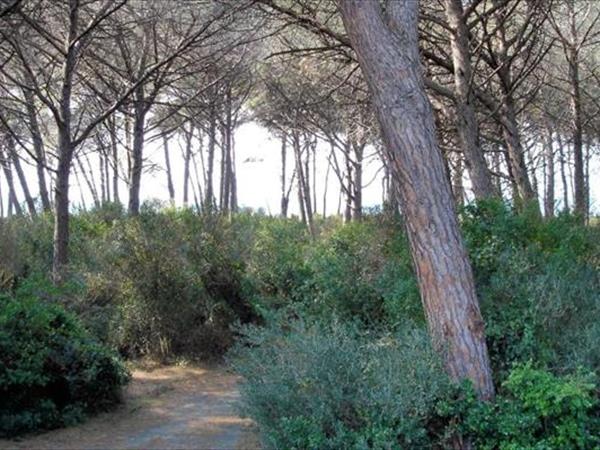 Residence Oleandri  - foto 57065.jpg