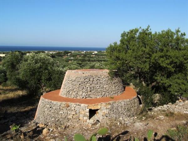 Residence degli Ulivi - foto 57076.jpg