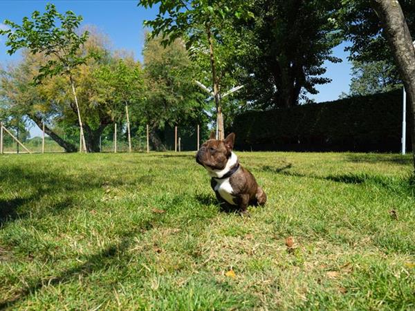 Club del Sole Adriano Family Collection - foto 57092.jpg