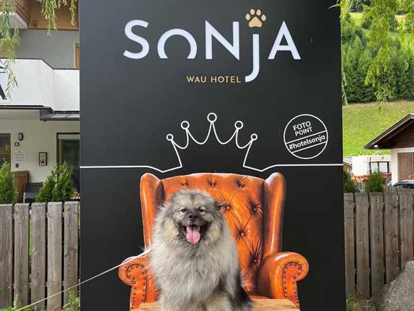 Hotel Sonja - foto 57138.jpg